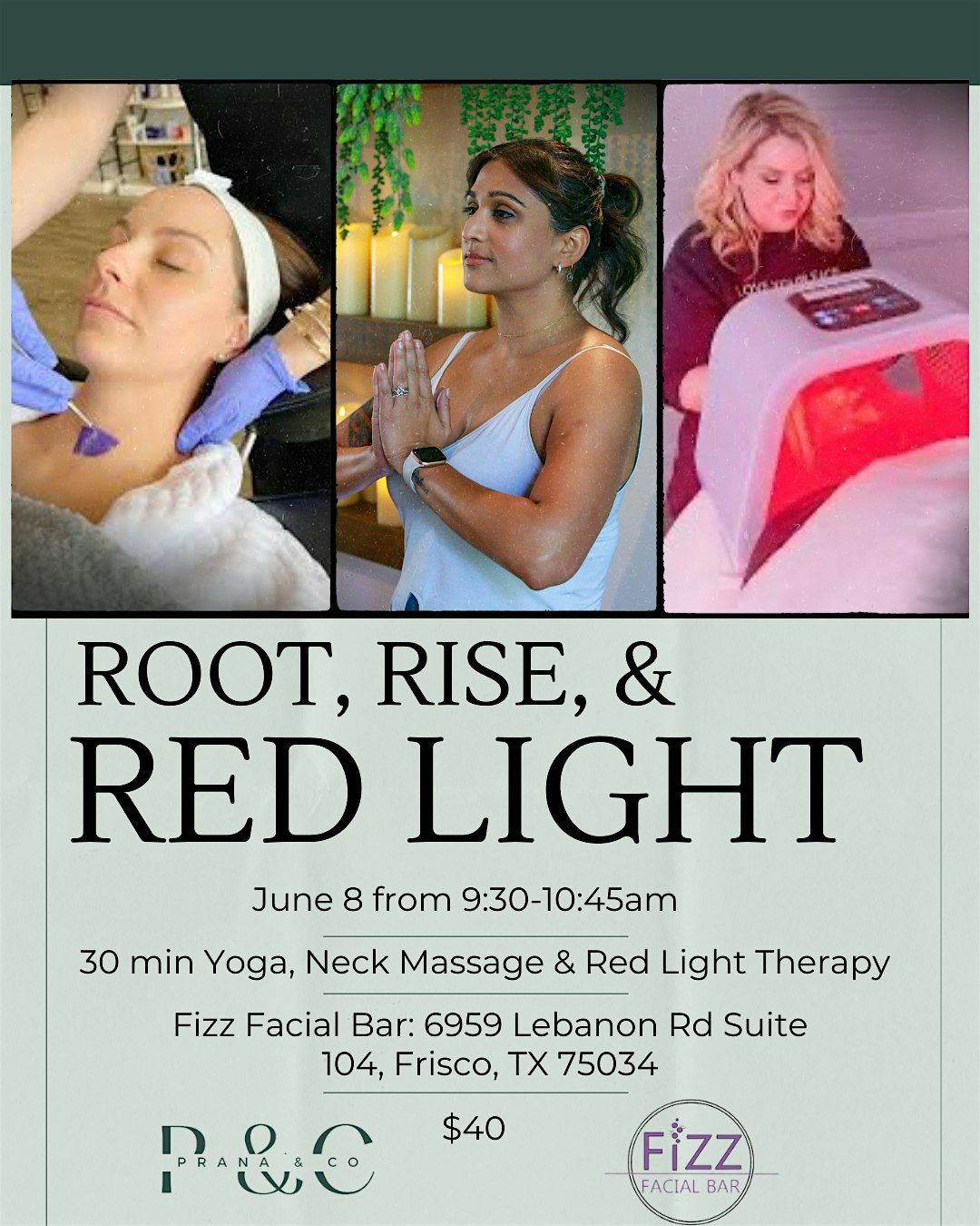 Root, Rise, & Red Light