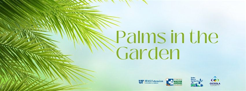 Palms in the Garden  - Monday, November 25th - 11:00 am