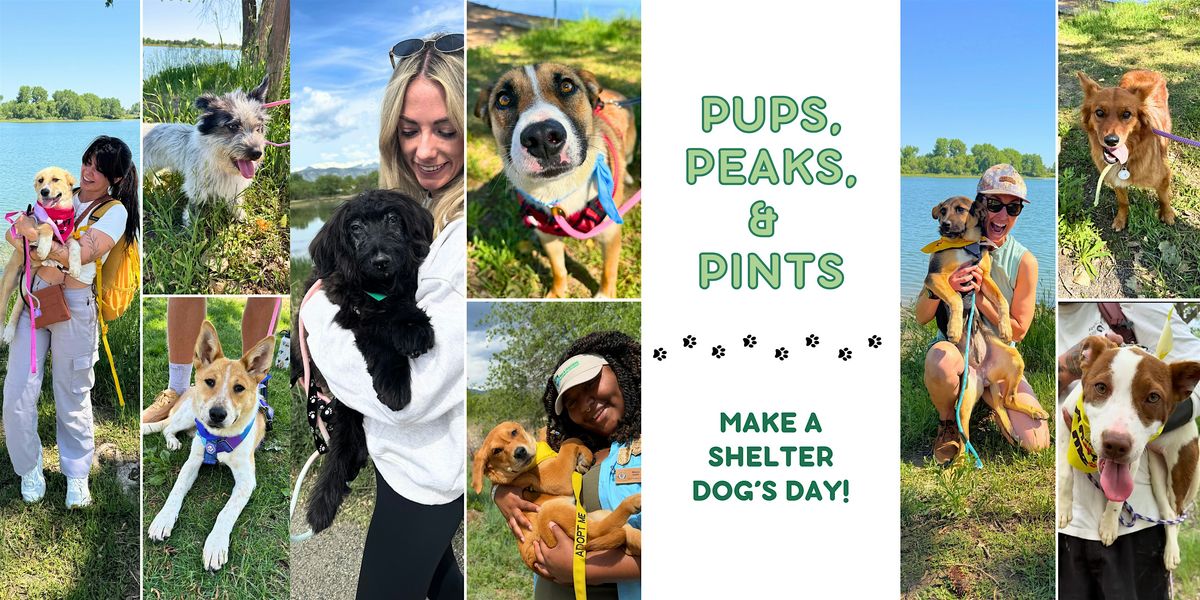 Pups, Peaks, & Pints: Walk & hang with adoptable shelter dogs!