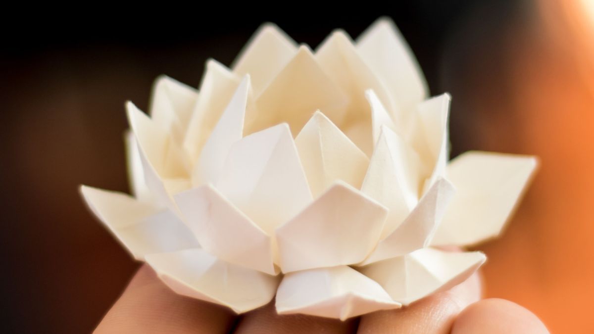 Wellness Wednesdays: Origami Flowers