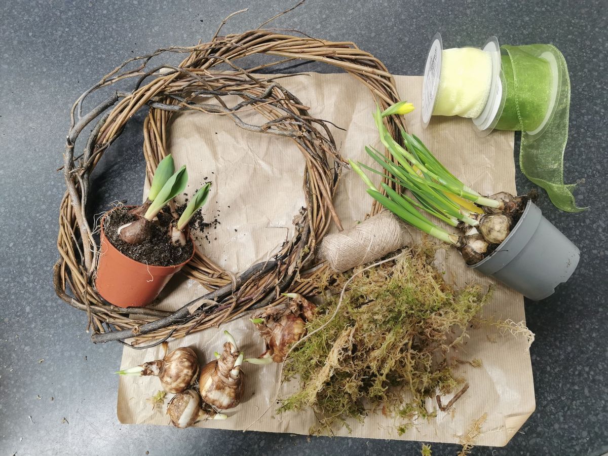 Spring bulb wreath workshop 