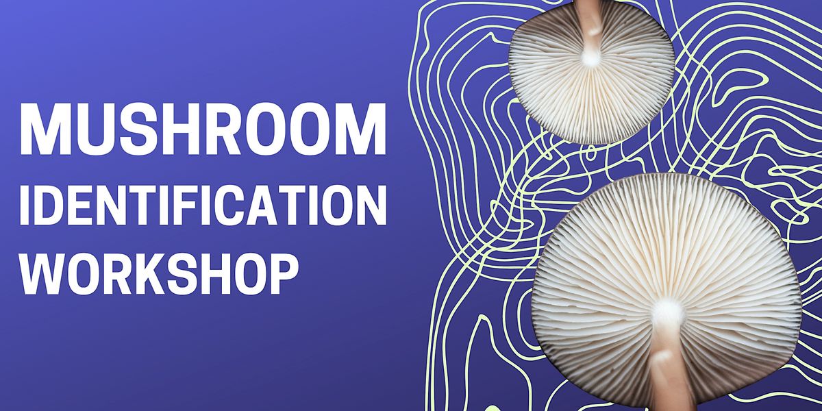 Mushroom Identification Workshop: DNA Barcoding