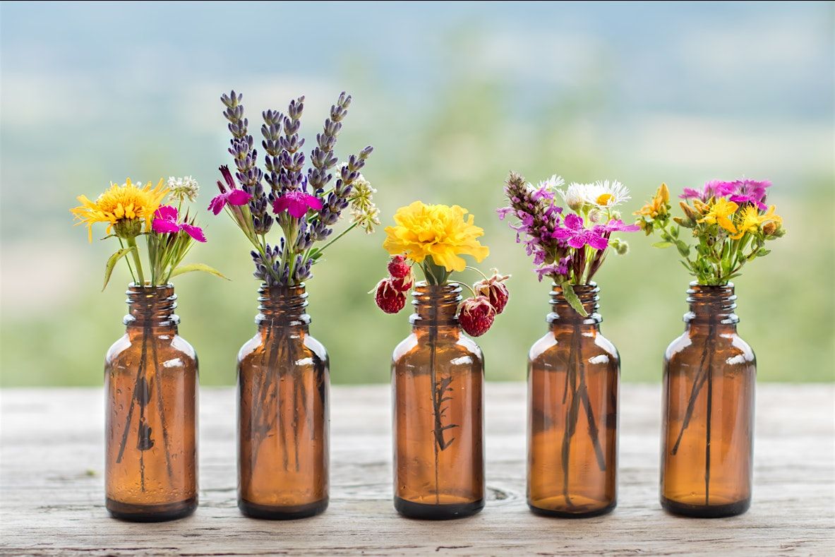 An Introduction to Aromatherapy