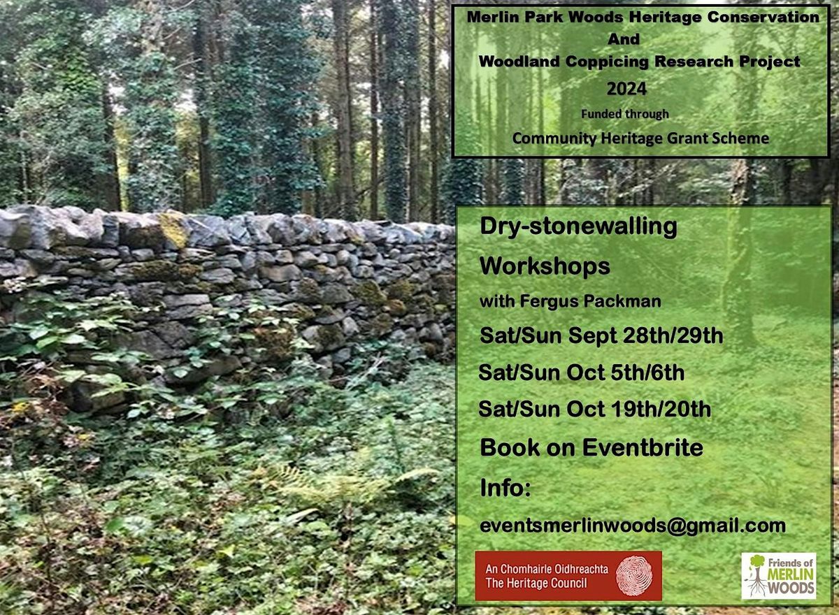 Dry-StoneWall Workshops  in Merlin Woods