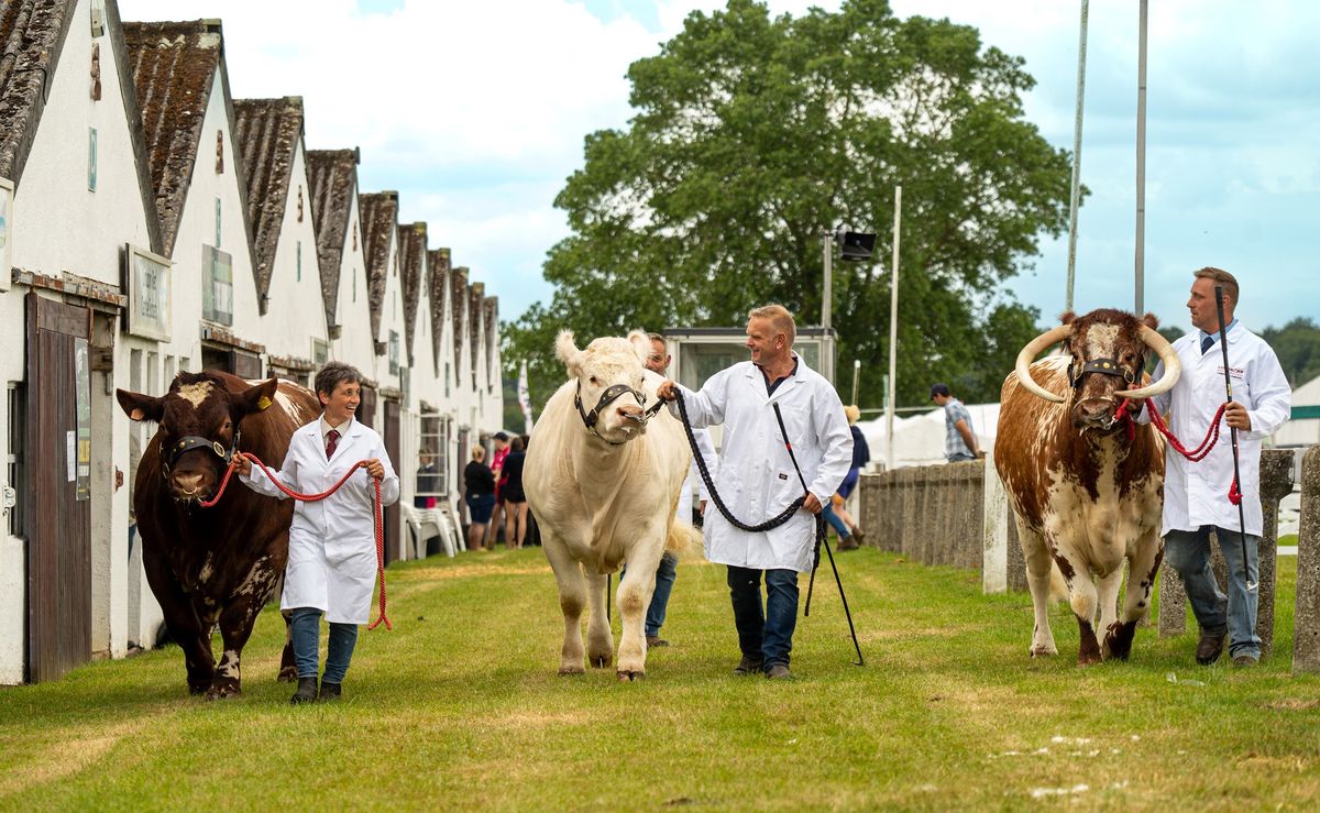 Great Yorkshire Show 2024