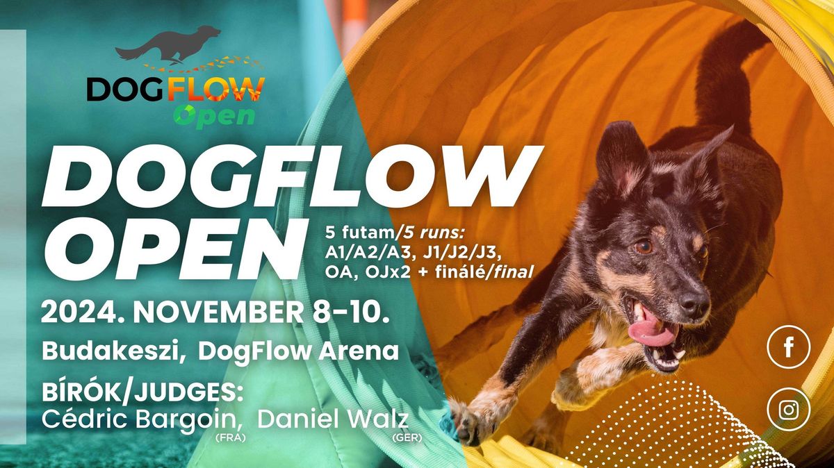 DogFlow Open 2024