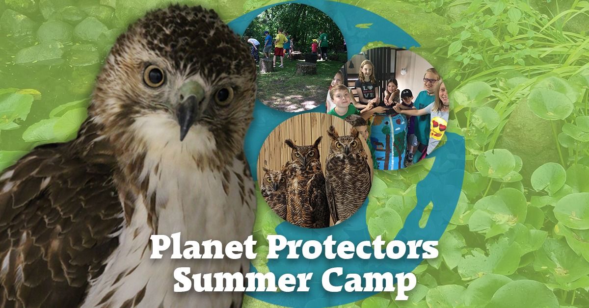 Wild Planet Protectors Summer Camp