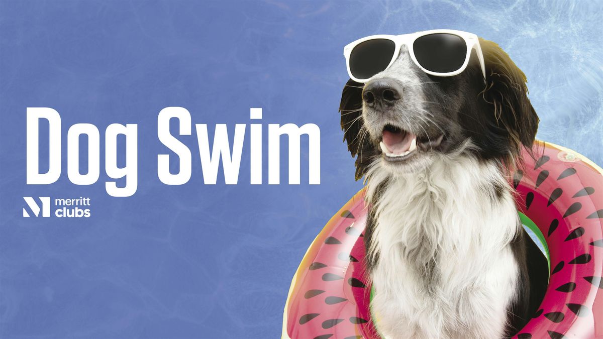 Dog Swim (Fort Avenue)