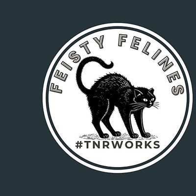 Feisty felines inc