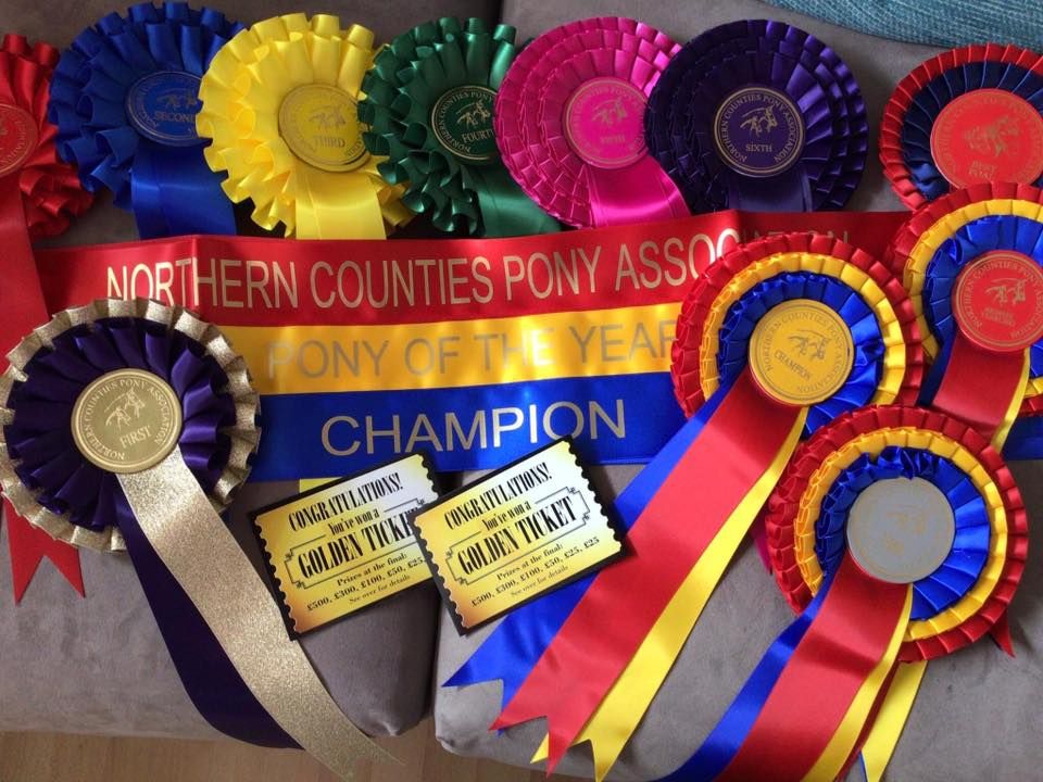 NCPA Diamond Jubilee Pony of the Year Show