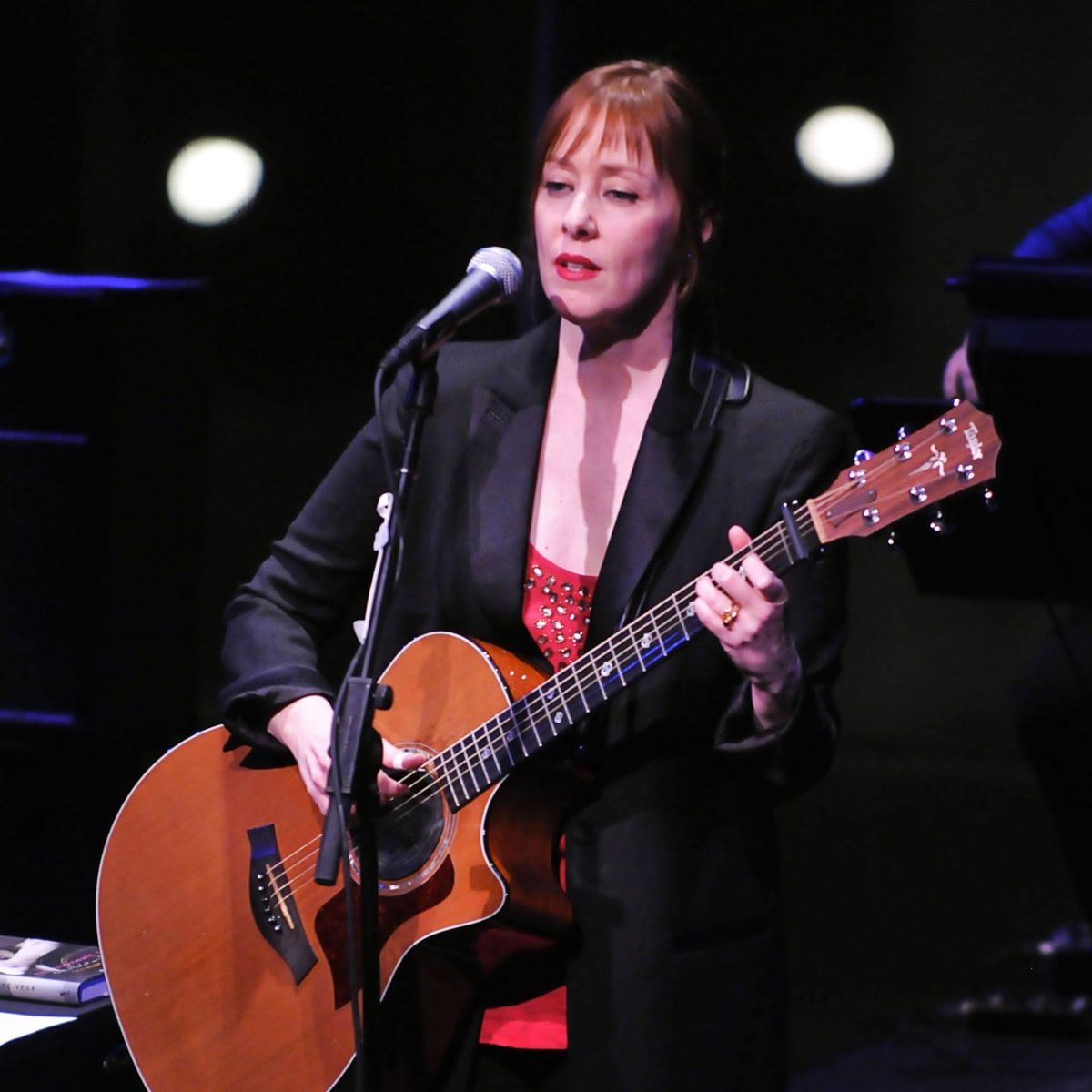 Suzanne Vega at Tobias Theater