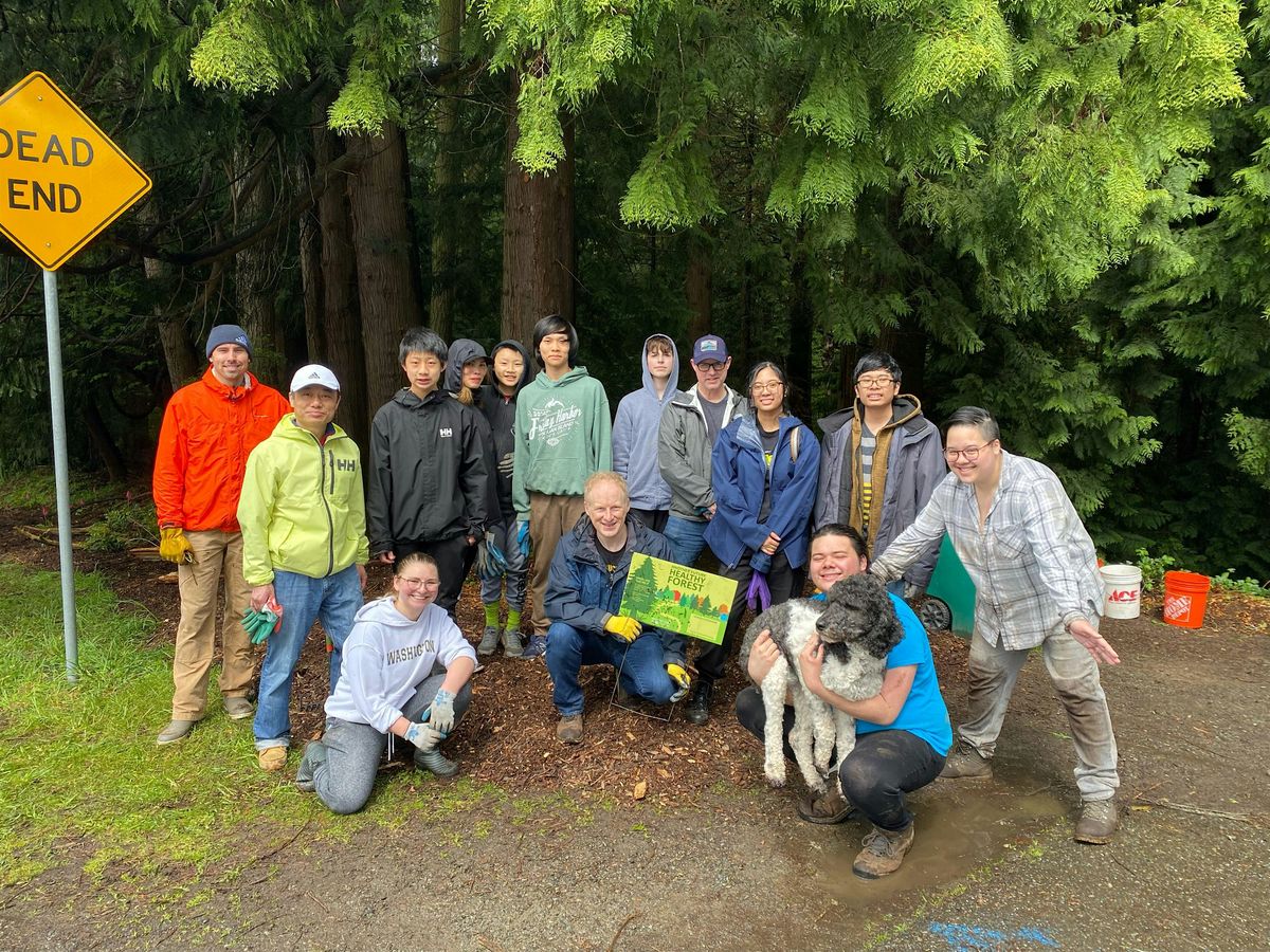 Kingsgate Park Forest Stewardship Event