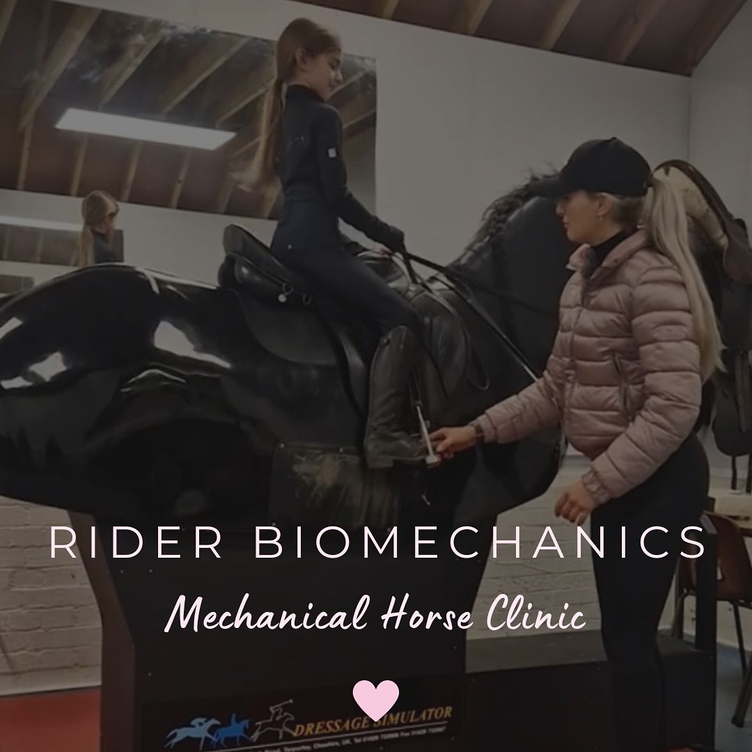 Rider Biomechanics Clinic