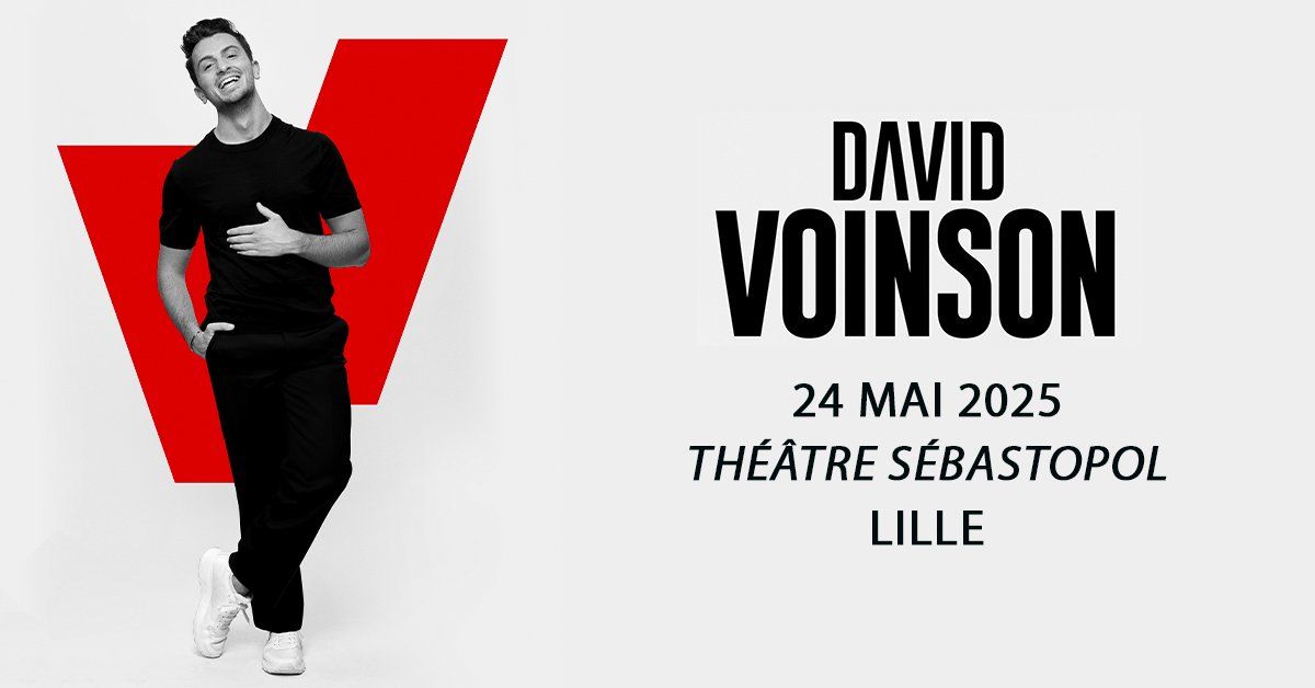 David Voinson - Th\u00e9\u00e2tre S\u00e9bastopol, Lille - 24.05.2025