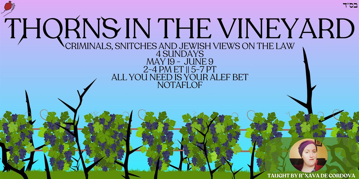 Thorns in the Vineyard: Criminals, Snitches, and Jewish Views on the Law
