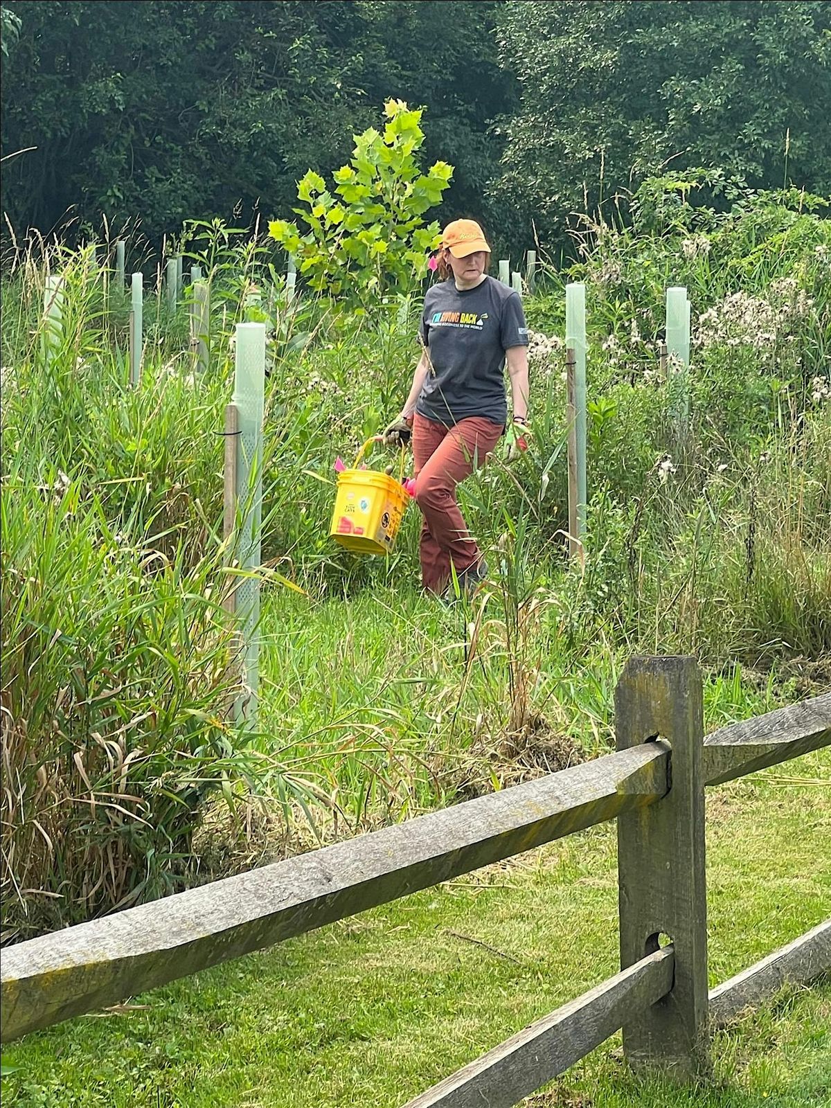 Boathouse Park Buffer Workday