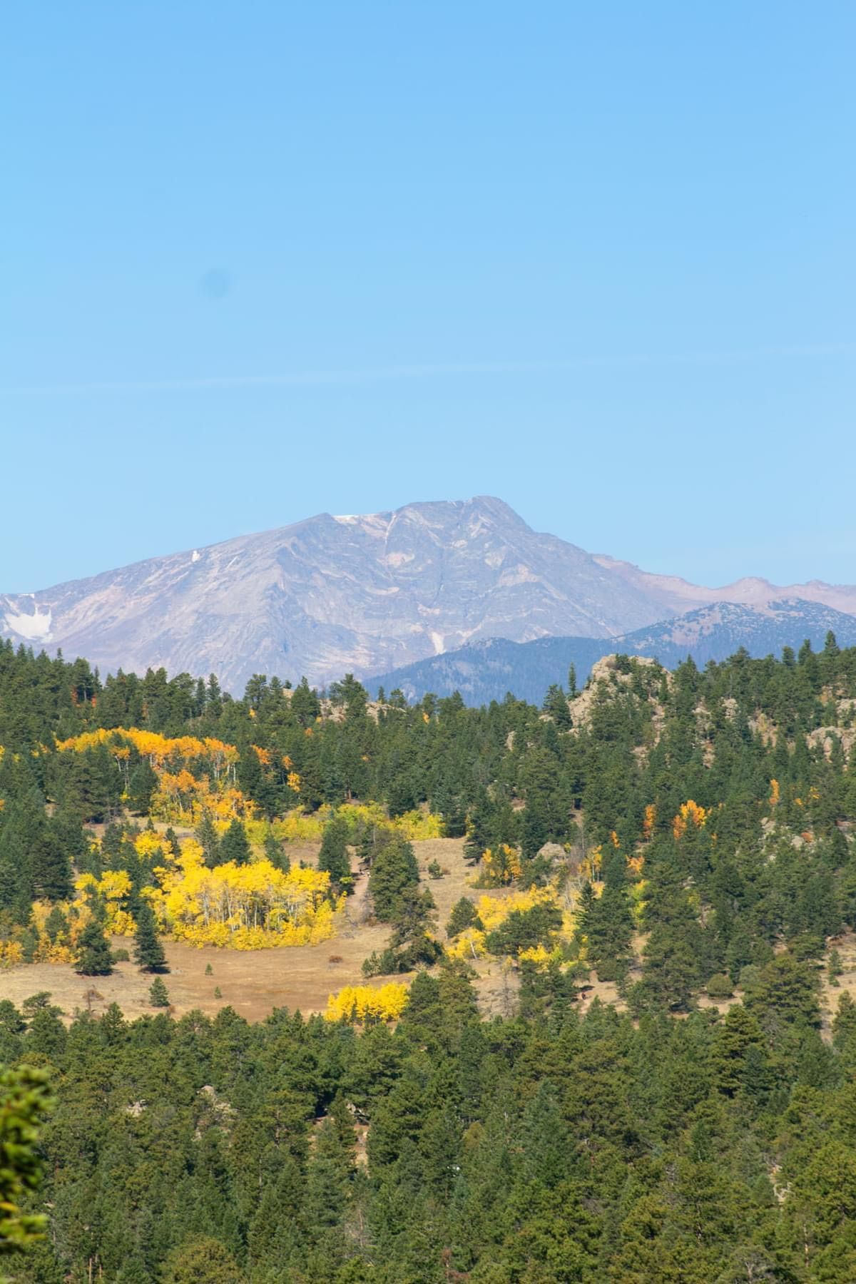 Fall Leaves Hike