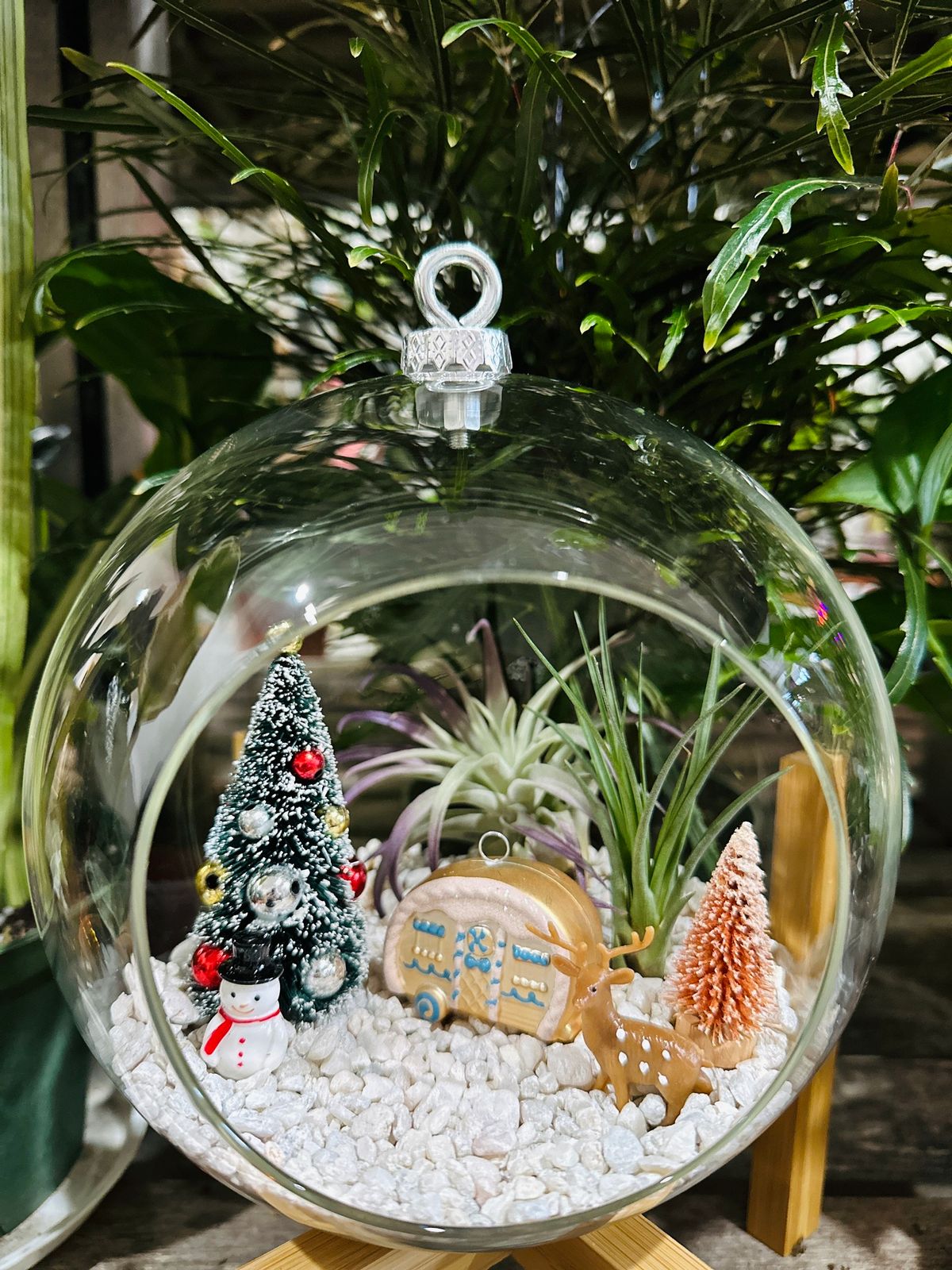 Air Plant Terrarium Ornament 