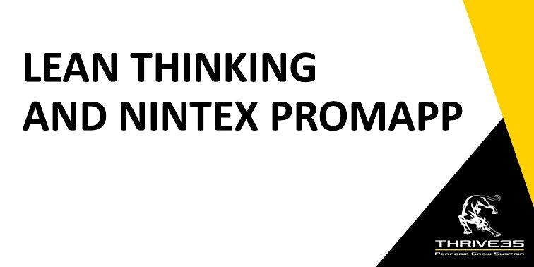 Promapp Use Lean Thinking and Nintex Promapp (Yellow Belt) - Auckland, New Zealand ...