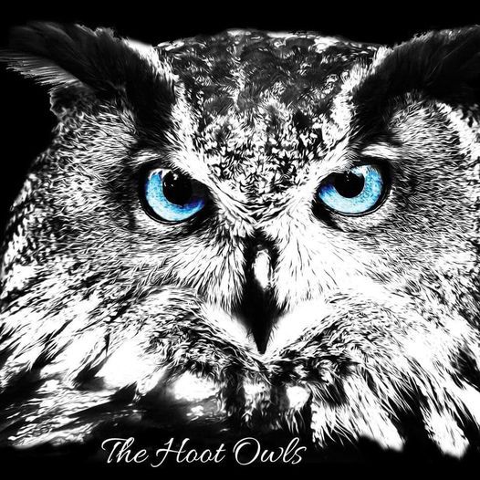 Hoot Owls Debut at North Park Clubhouse