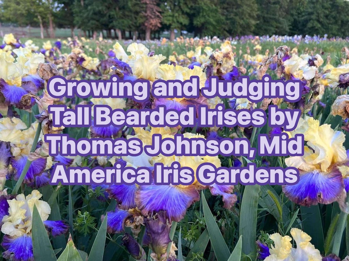 Growing and Judging Tall Bearded Irises