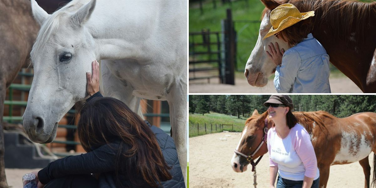 Equine Vision Journey Retreat - August 2024