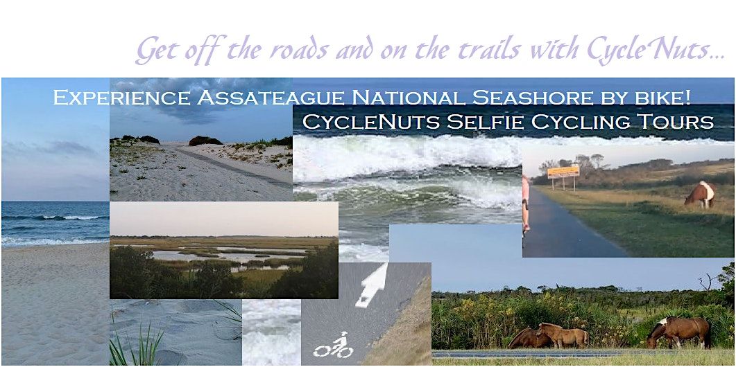 Ocean City, Maryland Self-guided Bicycle Tour - Assateague Island Seashore