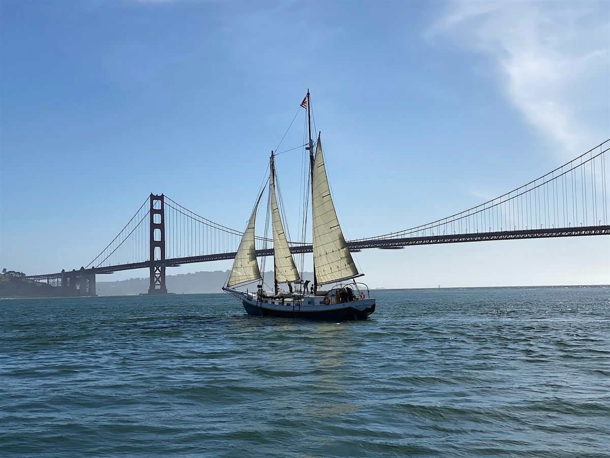 Sail the Bay