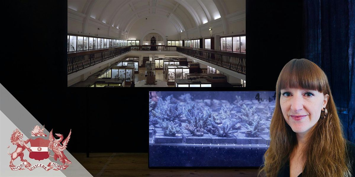 Ecologies of Display | Contemporary Art in Natural History Collections