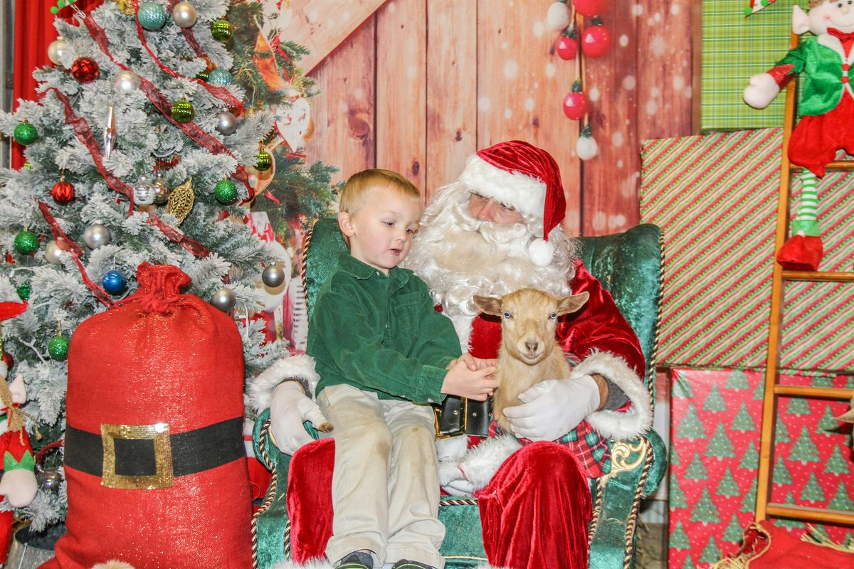 Mini Photo Sessions with Santa the Goat Elves at Stony Point Fashion Park