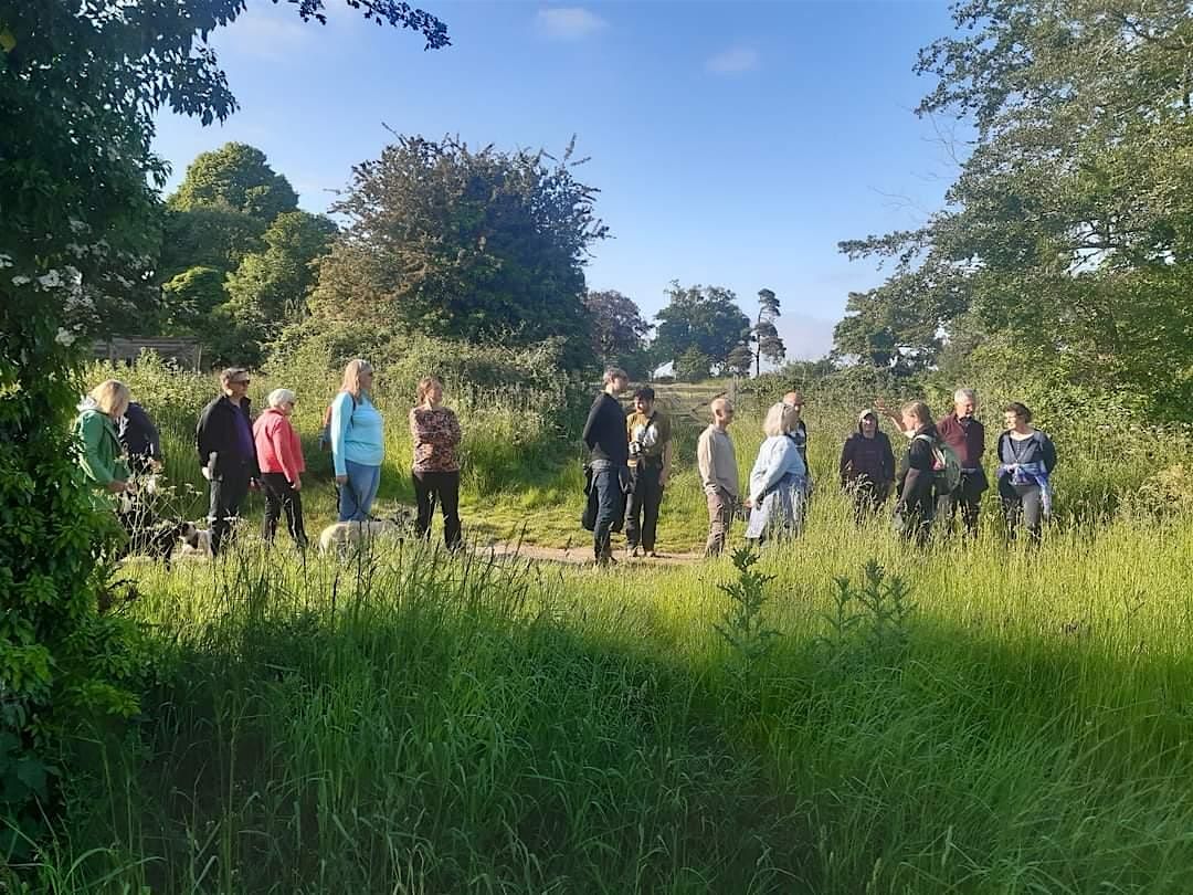 Discover Martlesham Wilds \u2013 a new nature reserve for Suffolk