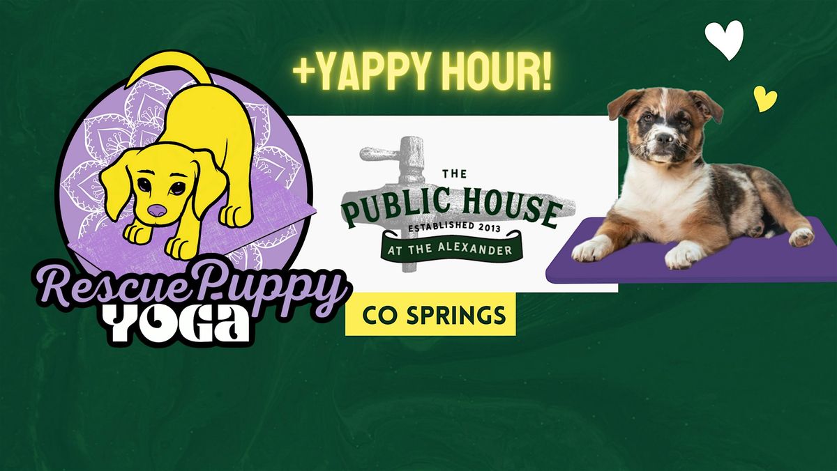 Rescue Puppy Yoga - The Public House