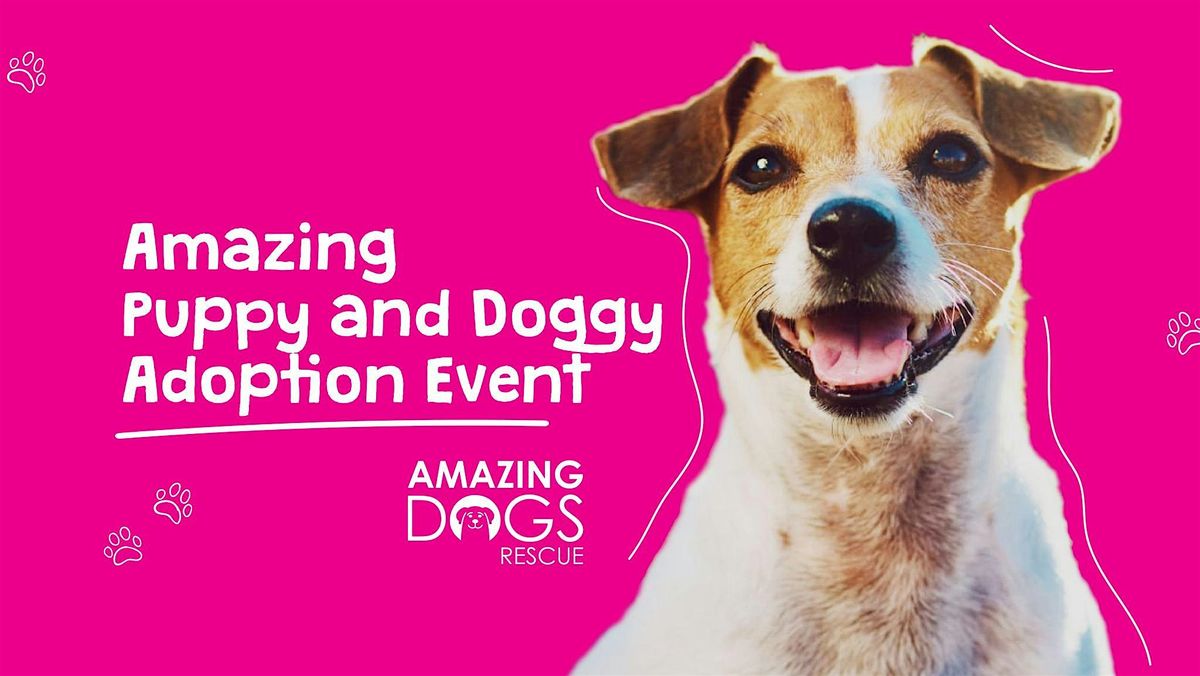 Amazing Dogs Adoption Event