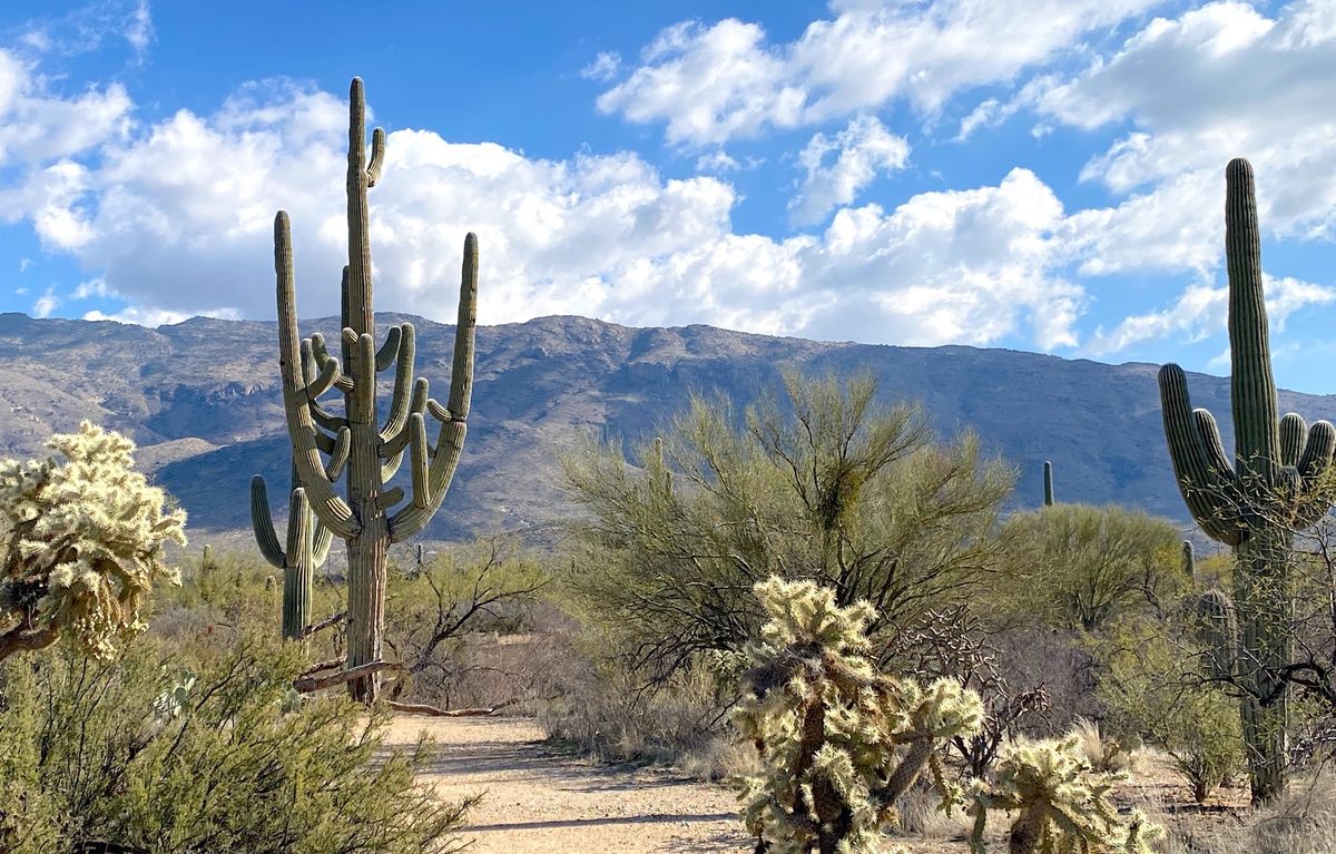 Tucson In-Person Death Cafe