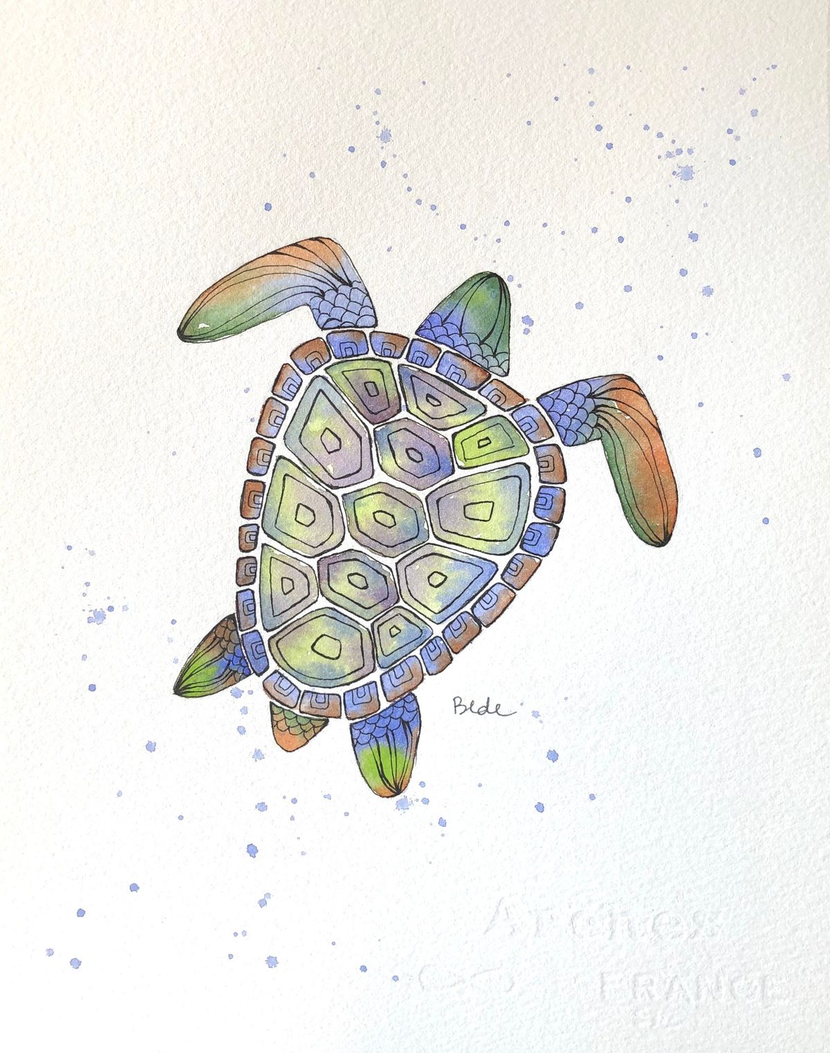 Watercolor Workshop: Watercolor Sea Turtle