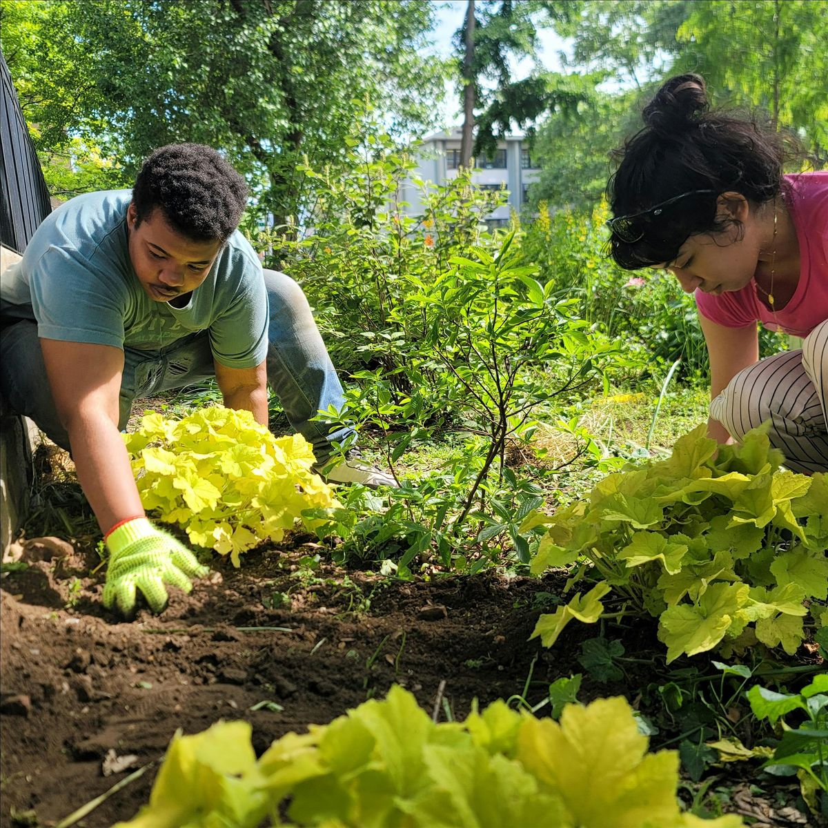 Stewardship Volunteering at Tompkins Square Park