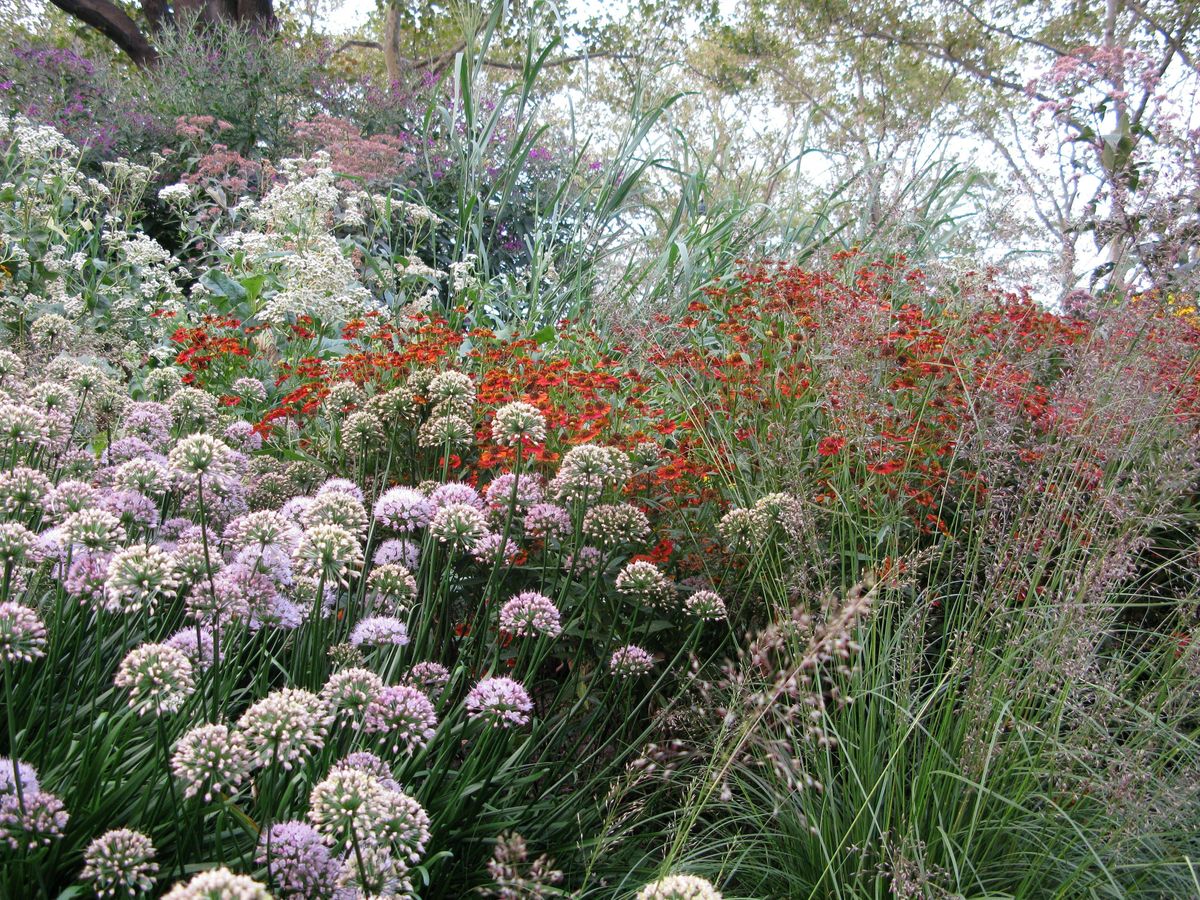 Workshop at The Battery: Perennial Plant Care (with plants to take home!)