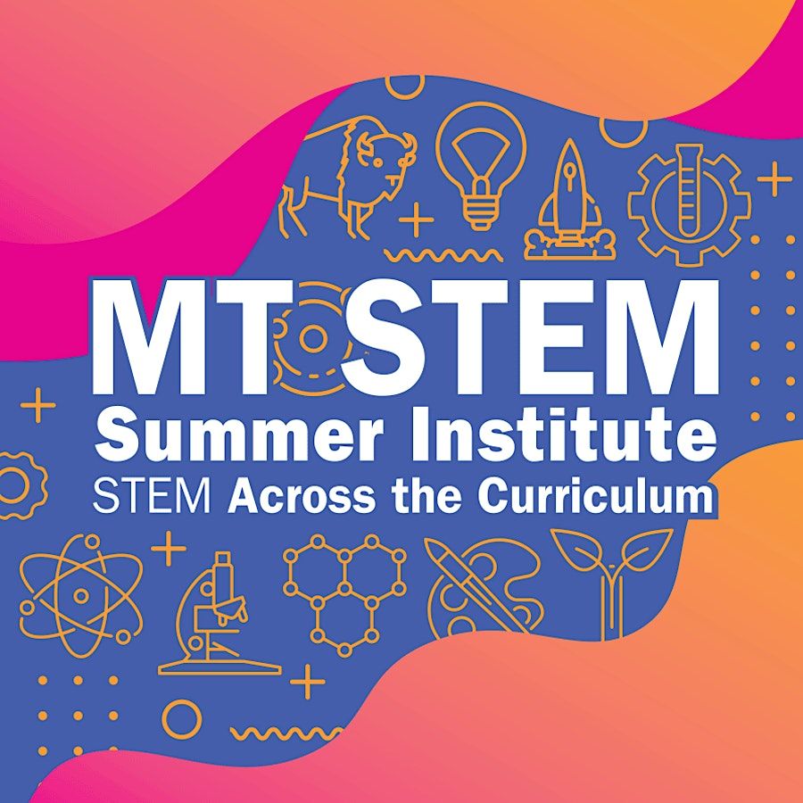 STEM Summer Institute 2024