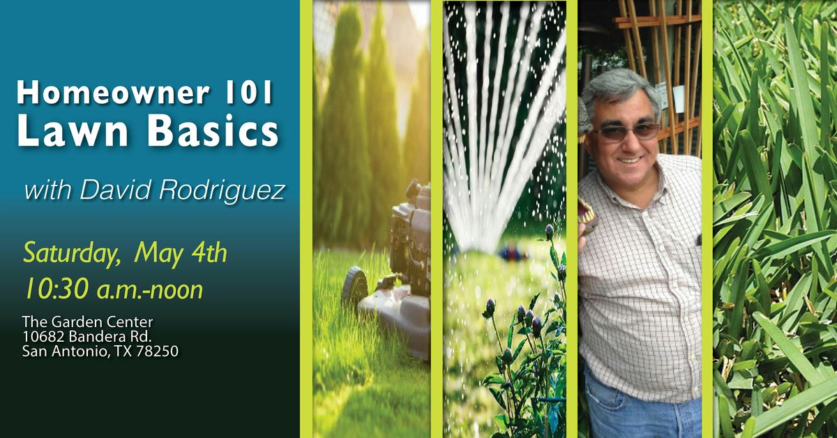 Homeowner 101: Lawn Basics