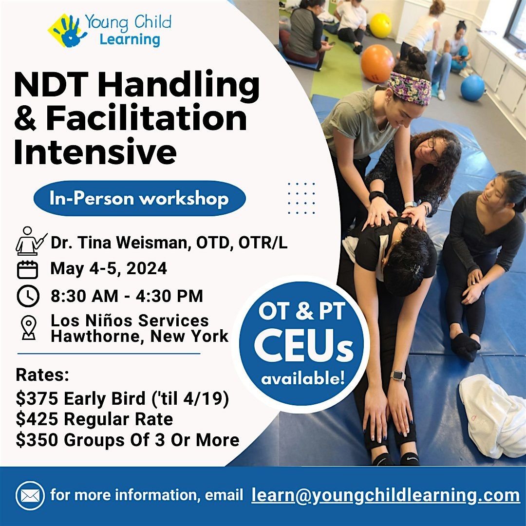 NDT Handling & Facilitation Intensive