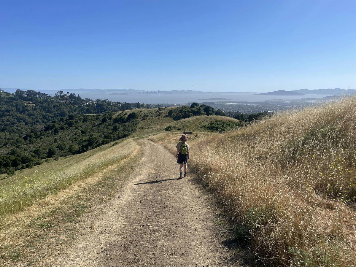 Wonderful Wildcat Canyon