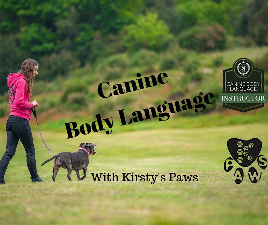 Canine Body Language