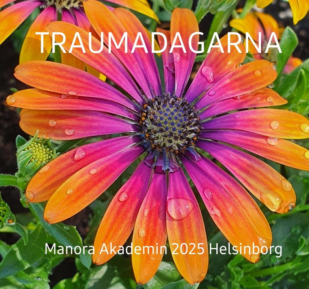 Traumadagarna