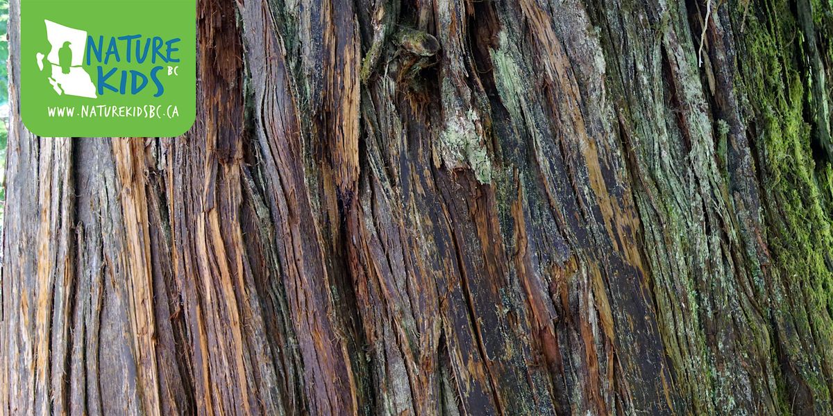 Cedar Bark Weaving