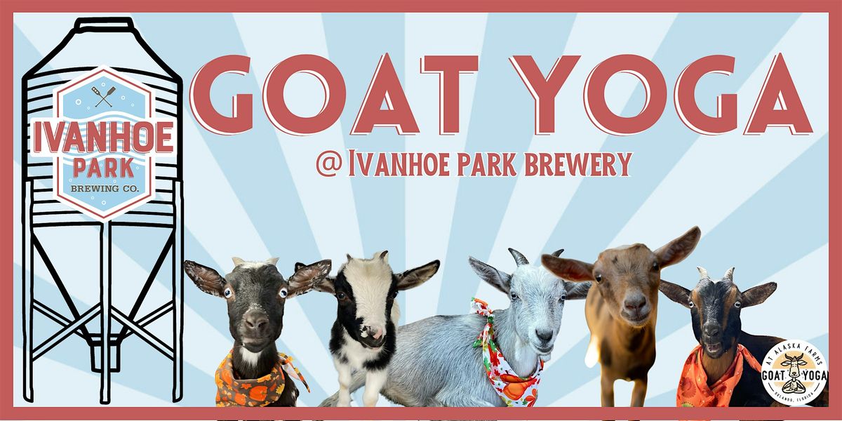 Ivanhoe Park Brewery Goat Yoga