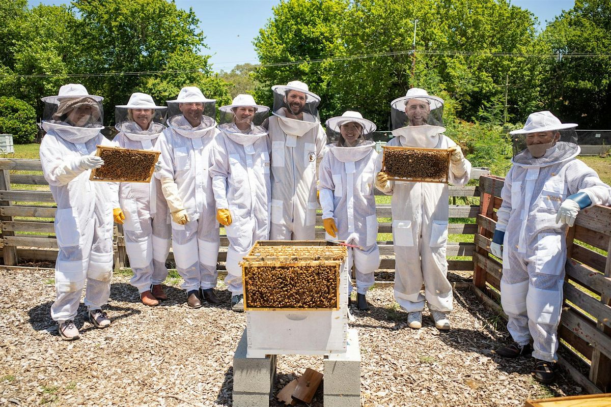 Beekeeping - Flow Hive Fun