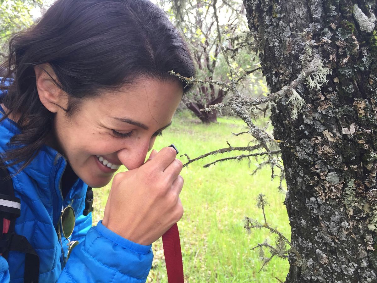 Lichen identification and ecology workshop at Reed College - 2024