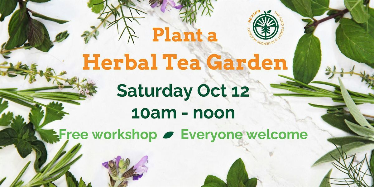 Plant a Herbal Tea Garden Workshop