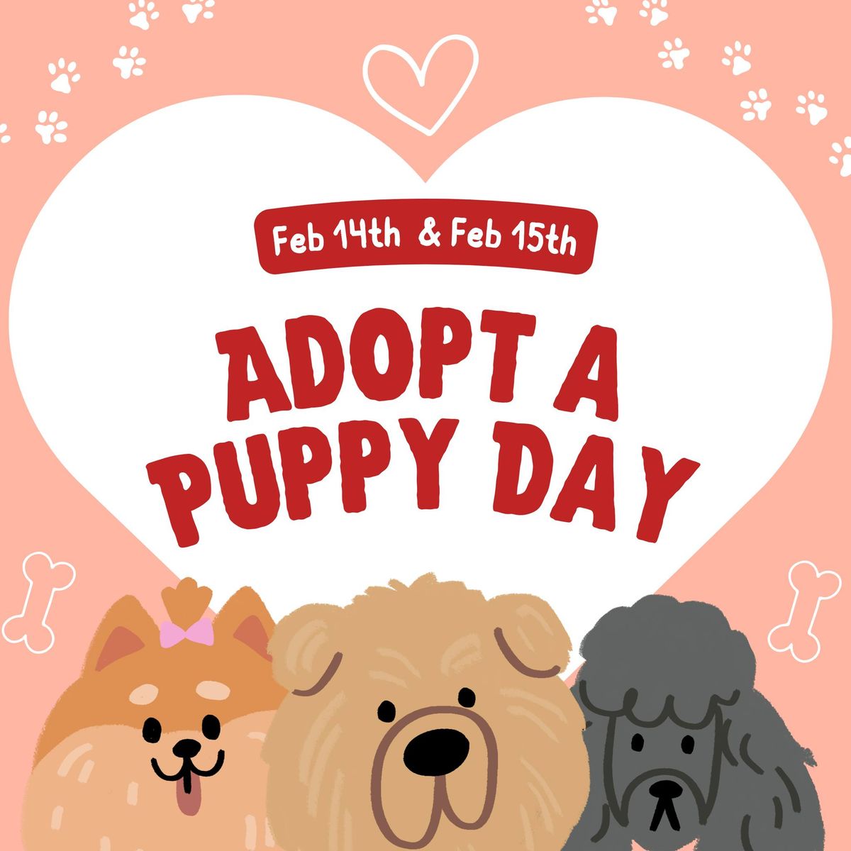 Adopt a Puppy