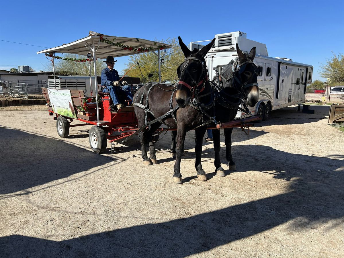 Rooted in Resilience: Honoring Black History at Robinson Ranch